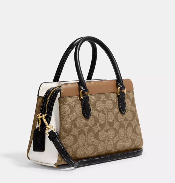 Coach Bag - Image 5