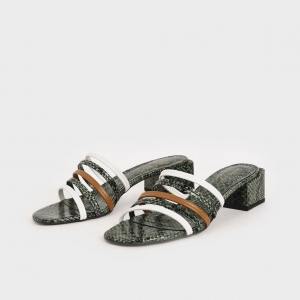 Charles & keith shoes